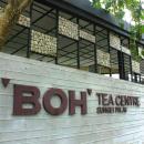 BOH Sungei Palas Tea Centre