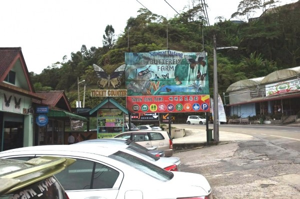 Butterfly Farm