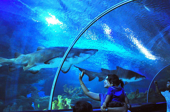 Aquaria KLCC