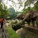 Zoo Negara