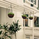 J-Garden @ Japanese Style Western Food