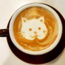 Brown Poodle Cafe