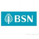 BSN (Bank Simpanan Nasional) @ Taiping