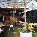 Veggie Delights Cafe